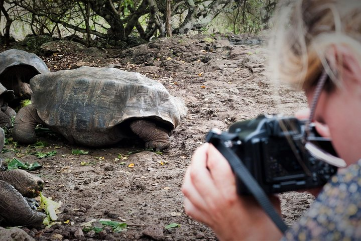 4 Days Galápagos - Isabela Islands and Santa Cruz  - Photo 1 of 12